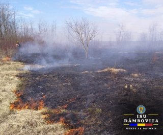 Județul Dâmbovița, afectat de numeroase incendii de vegetație